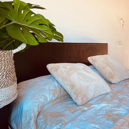 Lovely Triana Flat With Roof Terrace Σεβίλλη Εξωτερικό φωτογραφία